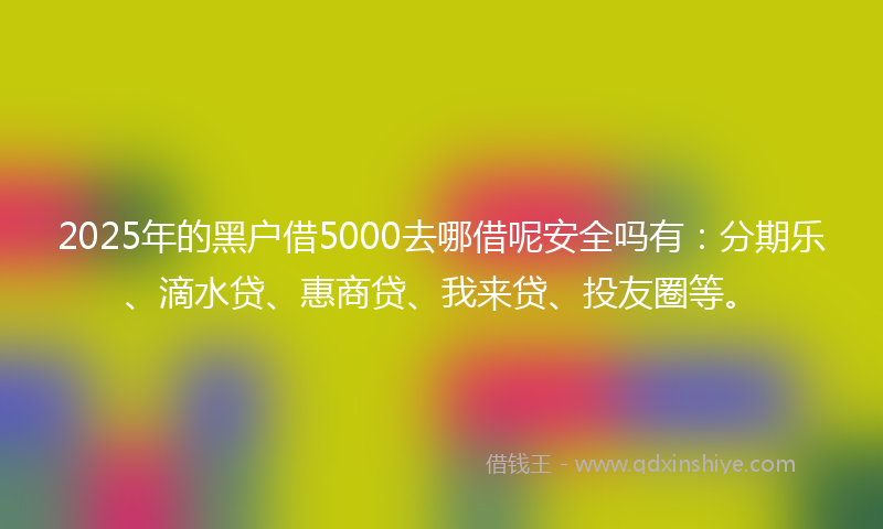 2025年的黑户借5000去哪借呢安全吗有：分期乐、滴水贷、惠商贷、我来贷、投友圈等。