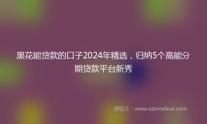 黑花能贷款的口子2024年精选，归纳5个高能分期贷款平台新秀