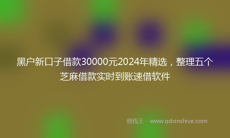 黑户新口子借款30000元2024年精选，整理五个芝麻借款实时到账速借软件
