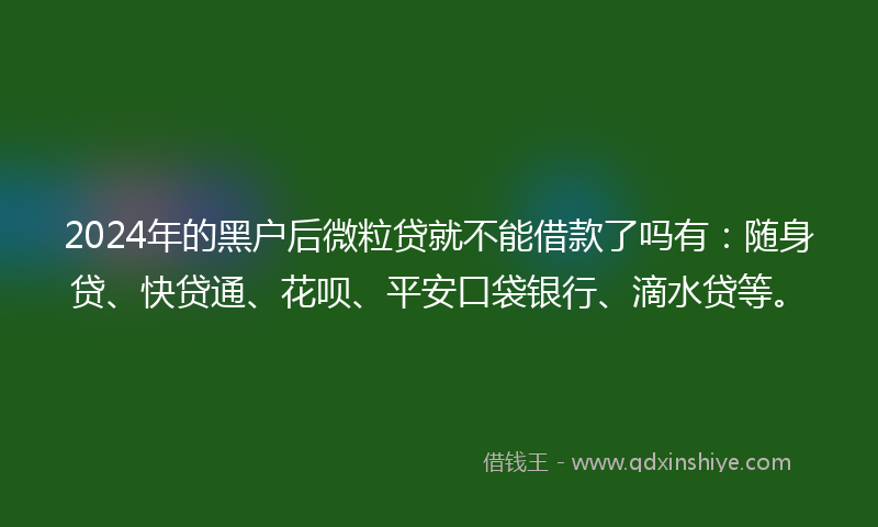 2024年的黑户后微粒贷就不能借款了吗有：随身贷、快贷通、花呗、平安口袋银行、滴水贷等。