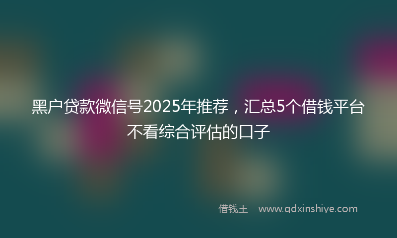 黑户贷款微信号2025年推荐，汇总5个借钱平台不看综合评估的口子