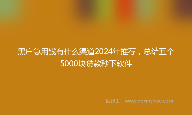 黑户急用钱有什么渠道2024年推荐，总结五个5000块贷款秒下软件