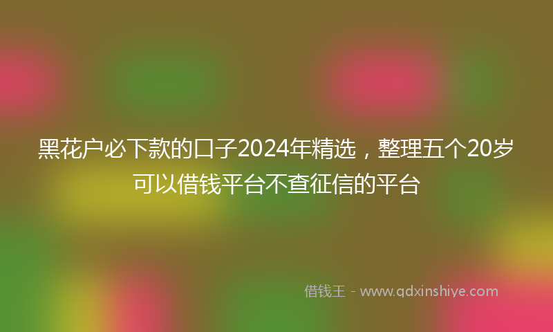 黑花户必下款的口子2024年精选，整理五个20岁可以借钱平台不查征信的平台