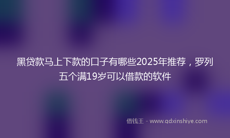 黑贷款马上下款的口子有哪些2025年推荐，罗列五个满19岁可以借款的软件