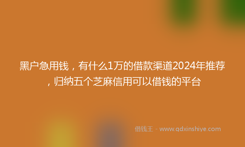 黑户急用钱，有什么1万的借款渠道2024年推荐，归纳五个芝麻信用可以借钱的平台