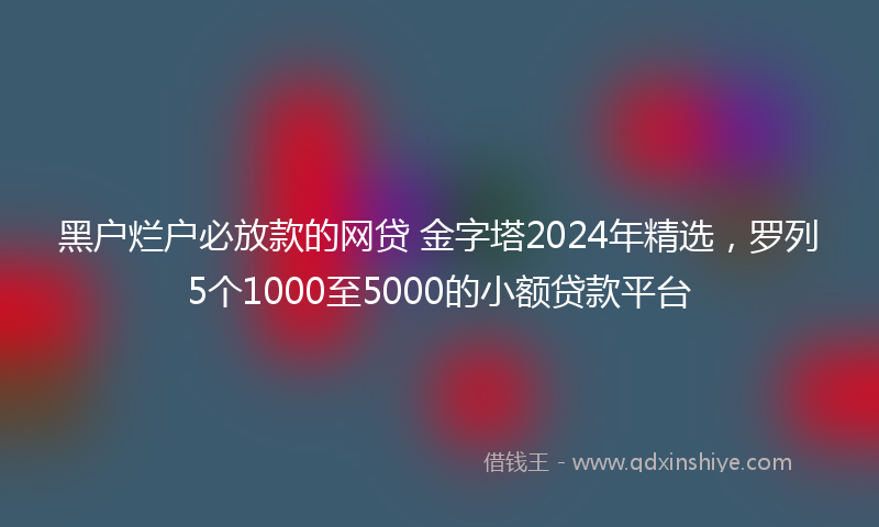 黑户烂户必放款的网贷 金字塔2024年精选，罗列5个1000至5000的小额贷款平台