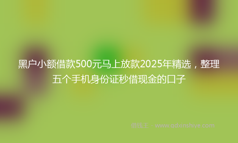 黑户小额借款500元马上放款2025年精选，整理五个手机身份证秒借现金的口子