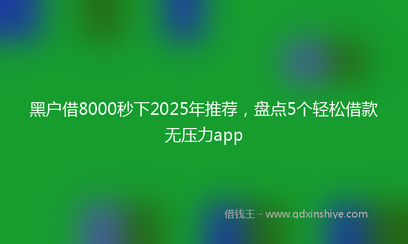 黑户借8000秒下2025年推荐，盘点5个轻松借款无压力app