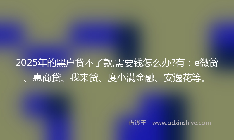 2025年的黑户贷不了款,需要钱怎么办?有：e微贷、惠商贷、我来贷、度小满金融、安逸花等。