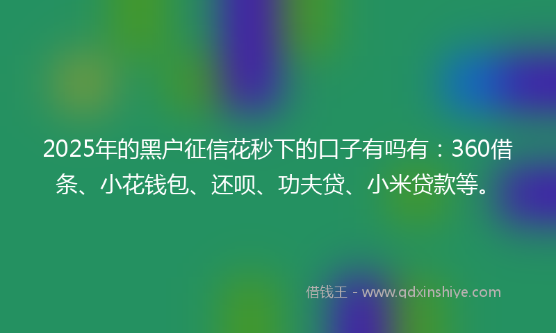 2025年的黑户征信花秒下的口子有吗有：360借条、小花钱包、还呗、功夫贷、小米贷款等。