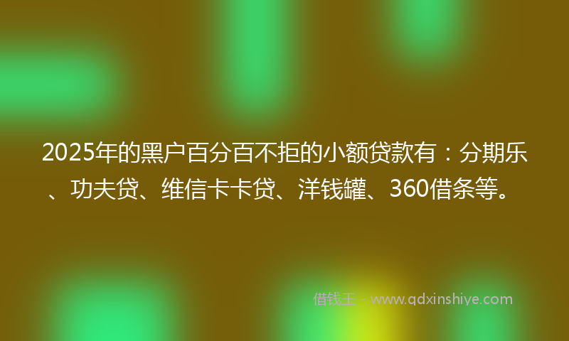 2025年的黑户百分百不拒的小额贷款有：分期乐、功夫贷、维信卡卡贷、洋钱罐、360借条等。