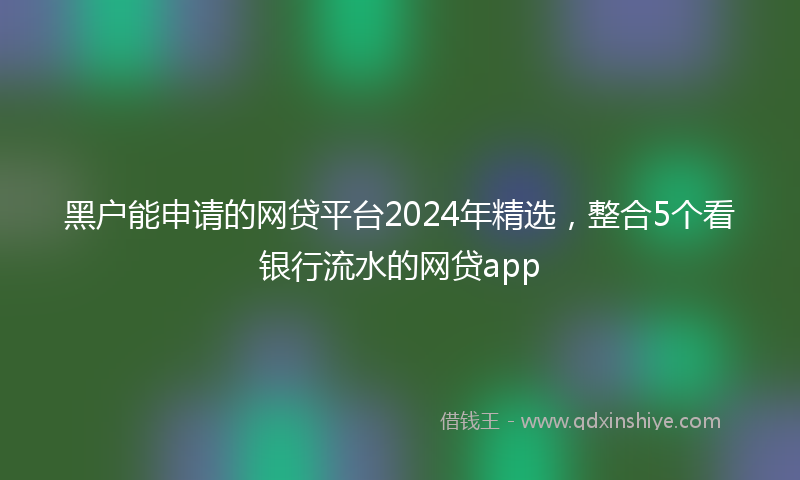 黑户能申请的网贷平台2024年精选，整合5个看银行流水的网贷app