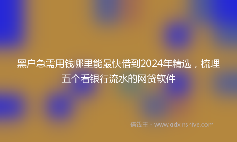 黑户急需用钱哪里能最快借到2024年精选，梳理五个看银行流水的网贷软件