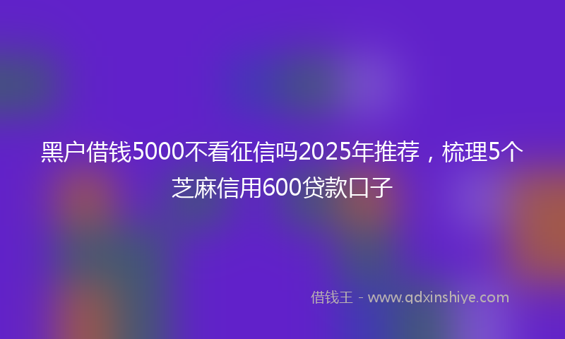 黑户借钱5000不看征信吗2025年推荐，梳理5个芝麻信用600贷款口子