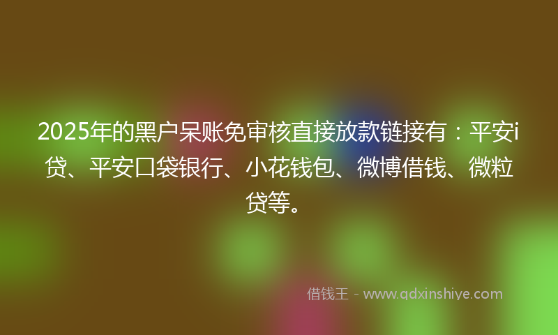 2025年的黑户呆账免审核直接放款链接有：平安i贷、平安口袋银行、小花钱包、微博借钱、微粒贷等。