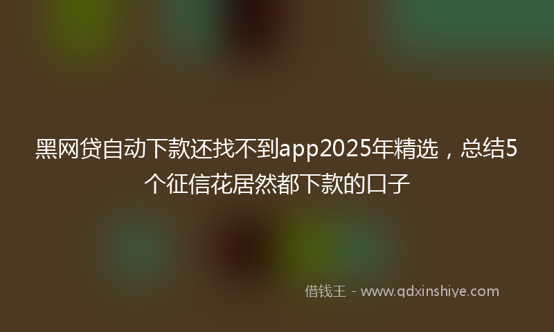 黑网贷自动下款还找不到app2025年精选，总结5个征信花居然都下款的口子