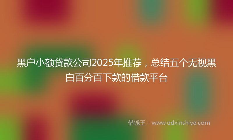 黑户小额贷款公司2025年推荐，总结五个无视黑白百分百下款的借款平台