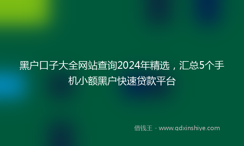黑户口子大全网站查询2024年精选，汇总5个手机小额黑户快速贷款平台