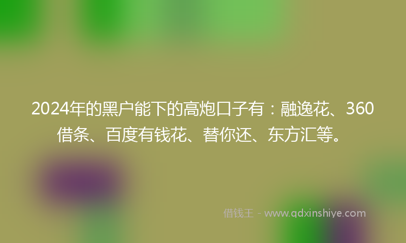 2024年的黑户能下的高炮口子有：融逸花、360借条、百度有钱花、替你还、东方汇等。