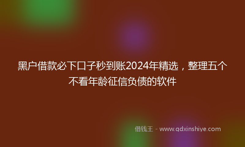 黑户借款必下口子秒到账2024年精选，整理五个不看年龄征信负债的软件