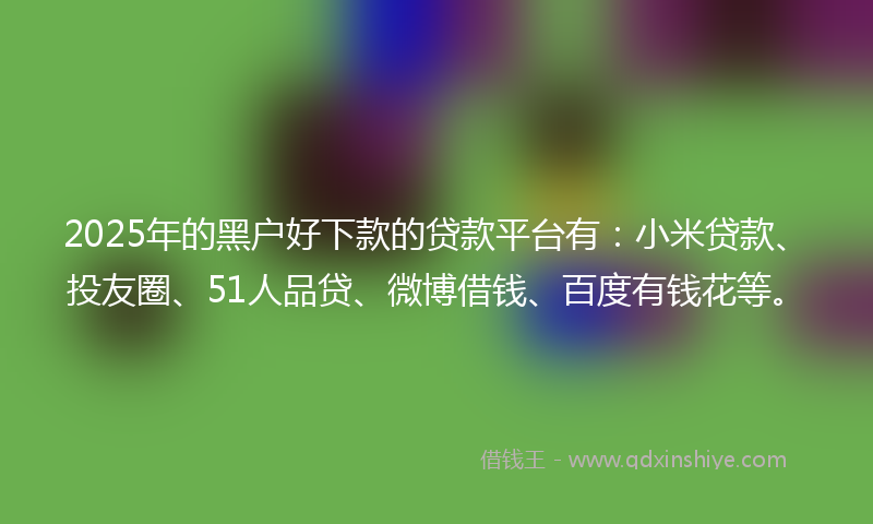 2025年的黑户好下款的贷款平台有：小米贷款、投友圈、51人品贷、微博借钱、百度有钱花等。