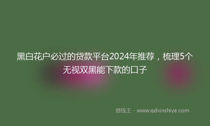黑白花户必过的贷款平台2024年推荐，梳理5个无视双黑能下款的口子