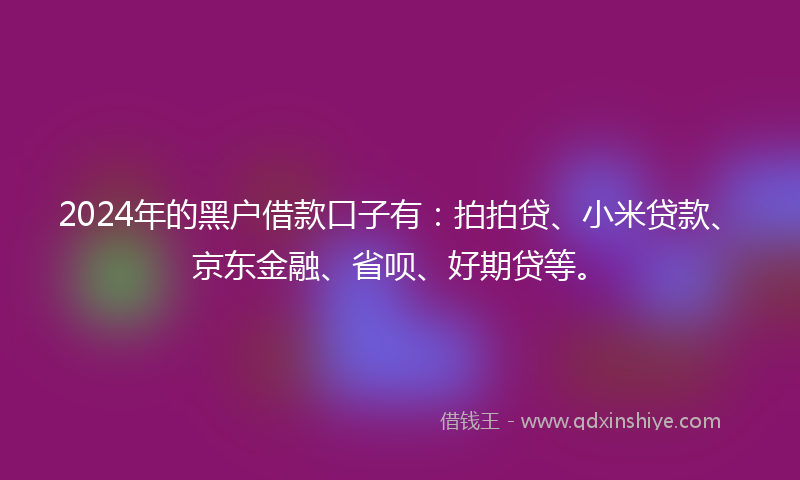 2024年的黑户借款口子有：拍拍贷、小米贷款、京东金融、省呗、好期贷等。