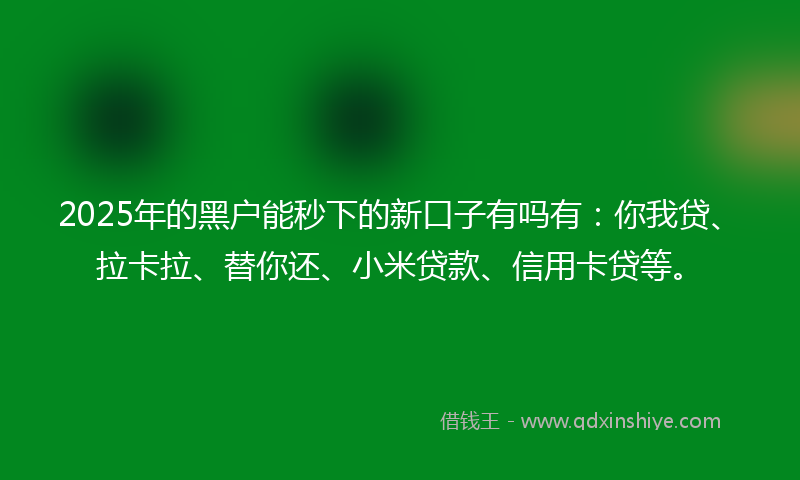 2025年的黑户能秒下的新口子有吗有：你我贷、拉卡拉、替你还、小米贷款、信用卡贷等。