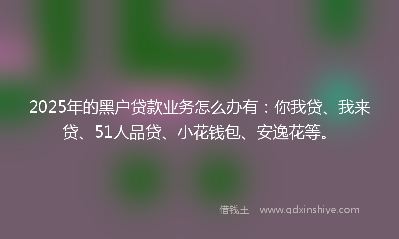 2025年的黑户贷款业务怎么办有：你我贷、我来贷、51人品贷、小花钱包、安逸花等。