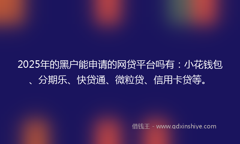 2025年的黑户能申请的网贷平台吗有：小花钱包、分期乐、快贷通、微粒贷、信用卡贷等。