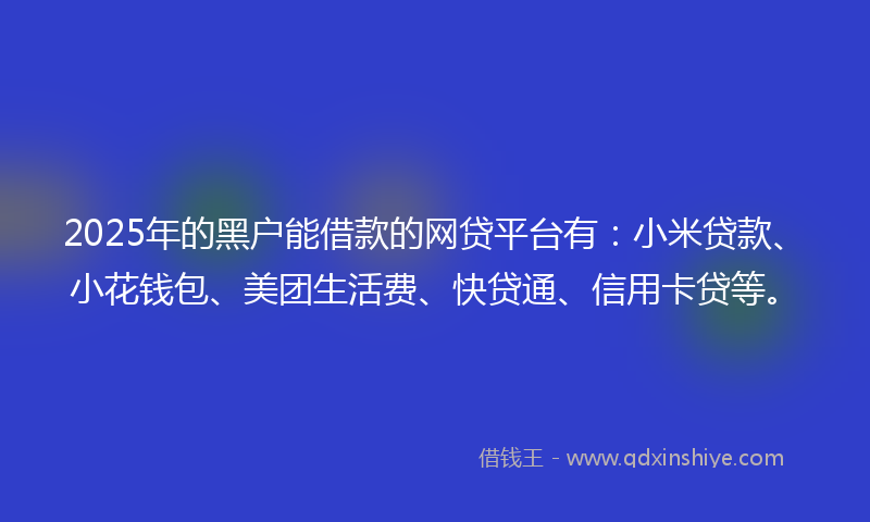 2025年的黑户能借款的网贷平台有：小米贷款、小花钱包、美团生活费、快贷通、信用卡贷等。