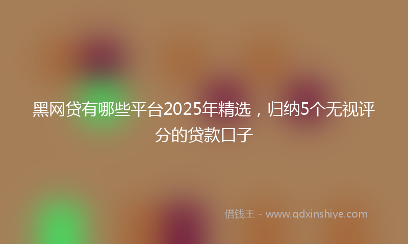 黑网贷有哪些平台2025年精选，归纳5个无视评分的贷款口子