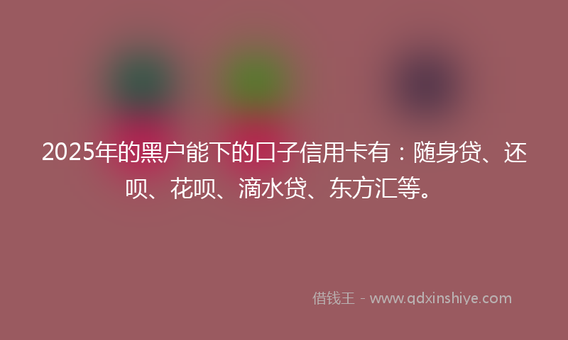 2025年的黑户能下的口子信用卡有：随身贷、还呗、花呗、滴水贷、东方汇等。
