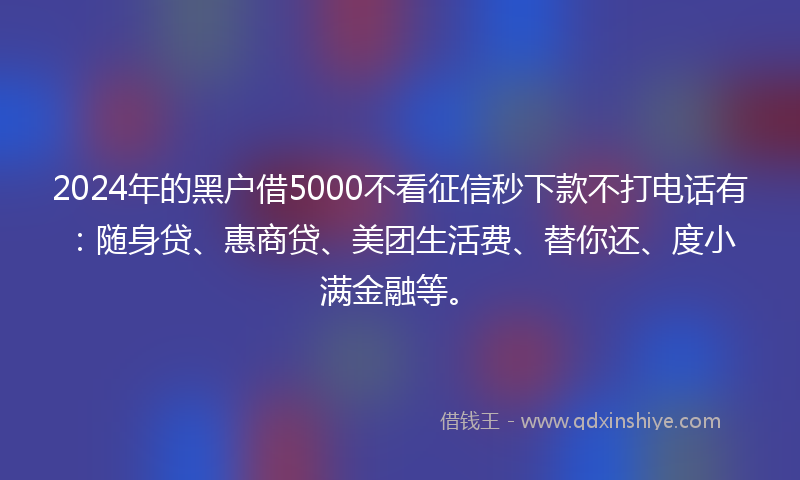 2024年的黑户借5000不看征信秒下款不打电话有：随身贷、惠商贷、美团生活费、替你还、度小满金融等。
