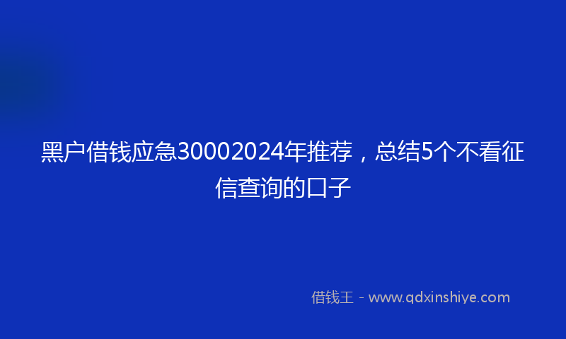 黑户借钱应急30002024年推荐，总结5个不看征信查询的口子