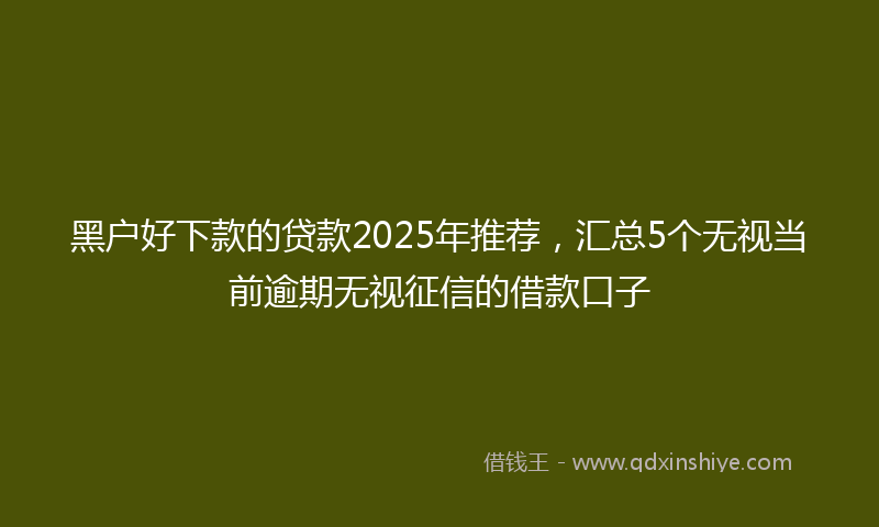 黑户好下款的贷款2025年推荐，汇总5个无视当前逾期无视征信的借款口子
