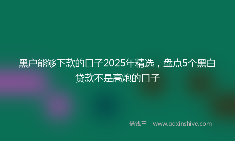 黑户能够下款的口子2025年精选，盘点5个黑白贷款不是高炮的口子