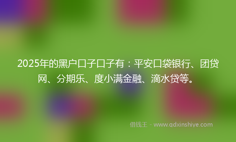 2025年的黑户口子口子有：平安口袋银行、团贷网、分期乐、度小满金融、滴水贷等。