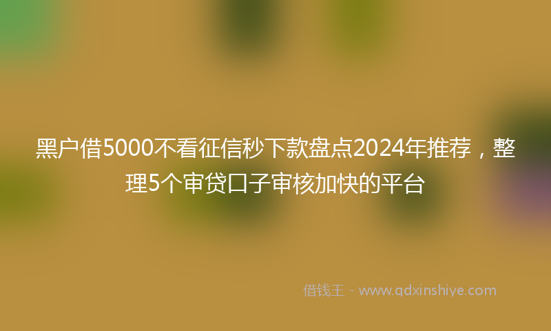黑户借5000不看征信秒下款盘点2024年推荐，整理5个审贷口子审核加快的平台