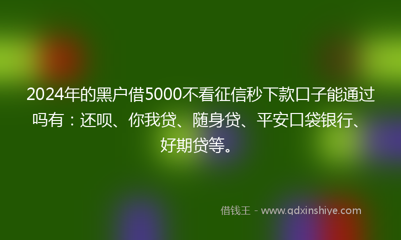 2024年的黑户借5000不看征信秒下款口子能通过吗有：还呗、你我贷、随身贷、平安口袋银行、好期贷等。