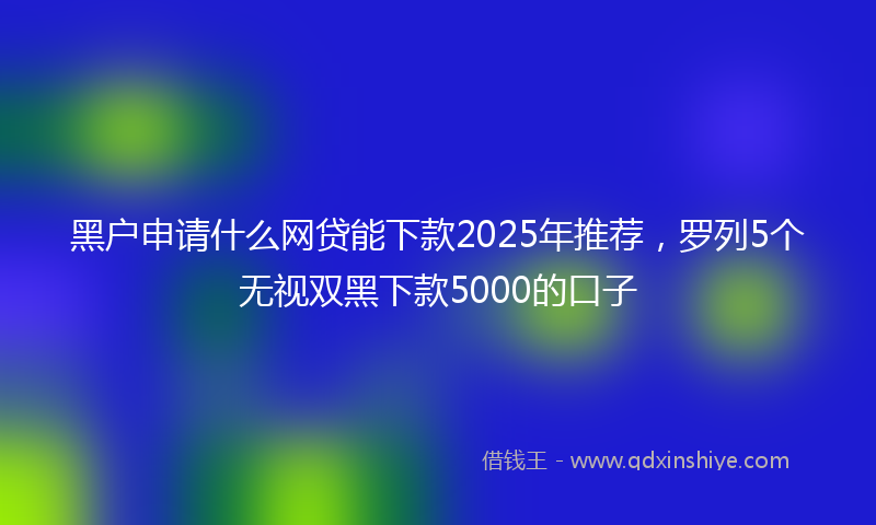 黑户申请什么网贷能下款2025年推荐，罗列5个无视双黑下款5000的口子