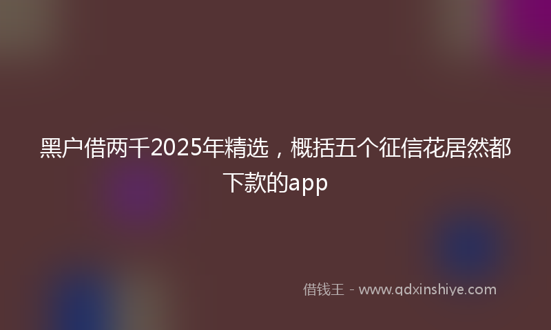 黑户借两千2025年精选，概括五个征信花居然都下款的app