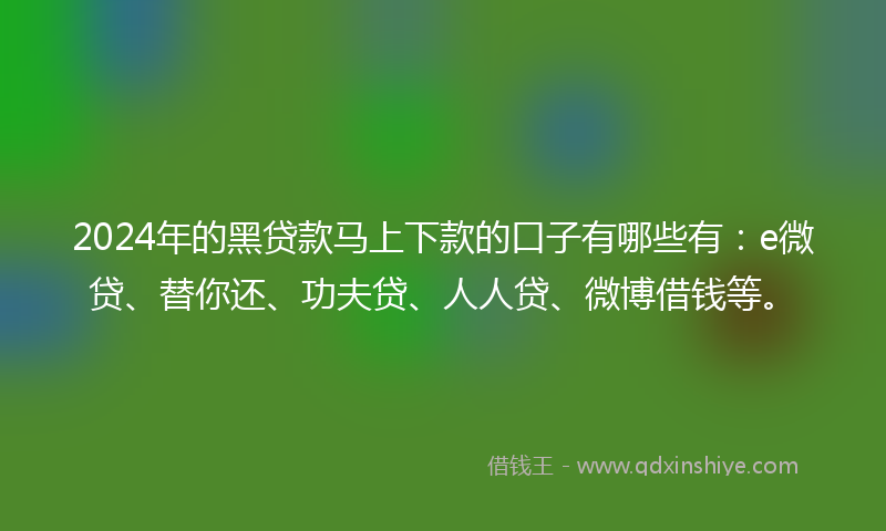 2024年的黑贷款马上下款的口子有哪些有：e微贷、替你还、功夫贷、人人贷、微博借钱等。