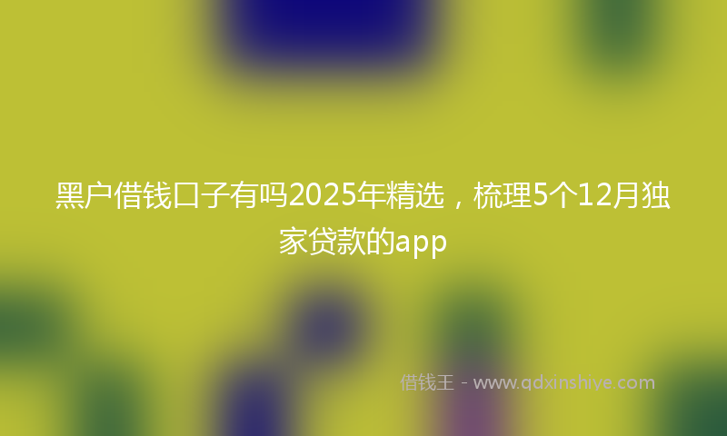 黑户借钱口子有吗2025年精选，梳理5个12月独家贷款的app