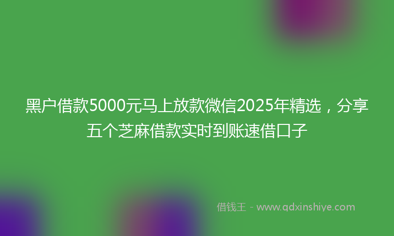 黑户借款5000元马上放款微信2025年精选，分享五个芝麻借款实时到账速借口子