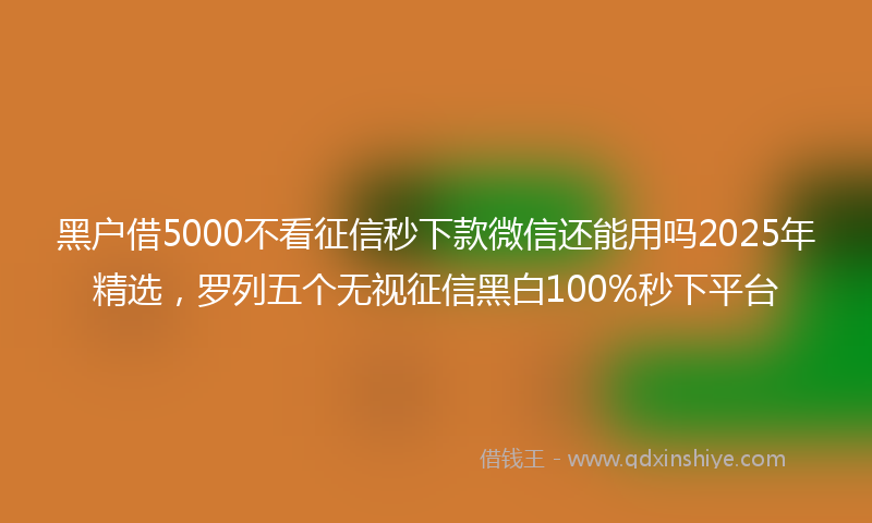 黑户借5000不看征信秒下款微信还能用吗2025年精选，罗列五个无视征信黑白100%秒下平台