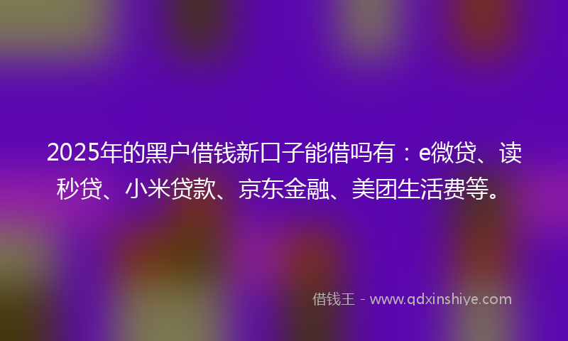 2025年的黑户借钱新口子能借吗有：e微贷、读秒贷、小米贷款、京东金融、美团生活费等。