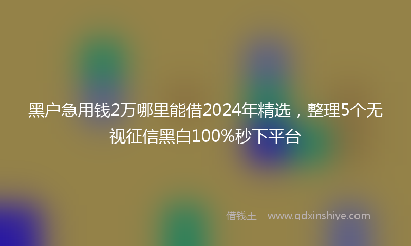 黑户急用钱2万哪里能借2024年精选，整理5个无视征信黑白100%秒下平台