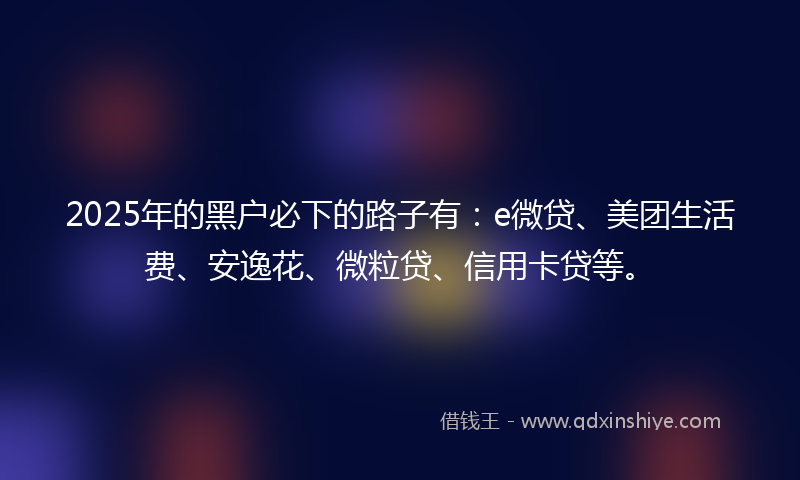 2025年的黑户必下的路子有：e微贷、美团生活费、安逸花、微粒贷、信用卡贷等。