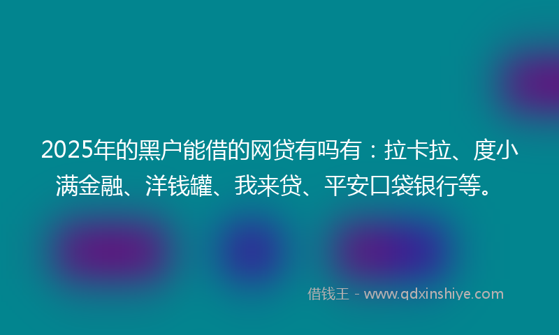 2025年的黑户能借的网贷有吗有：拉卡拉、度小满金融、洋钱罐、我来贷、平安口袋银行等。